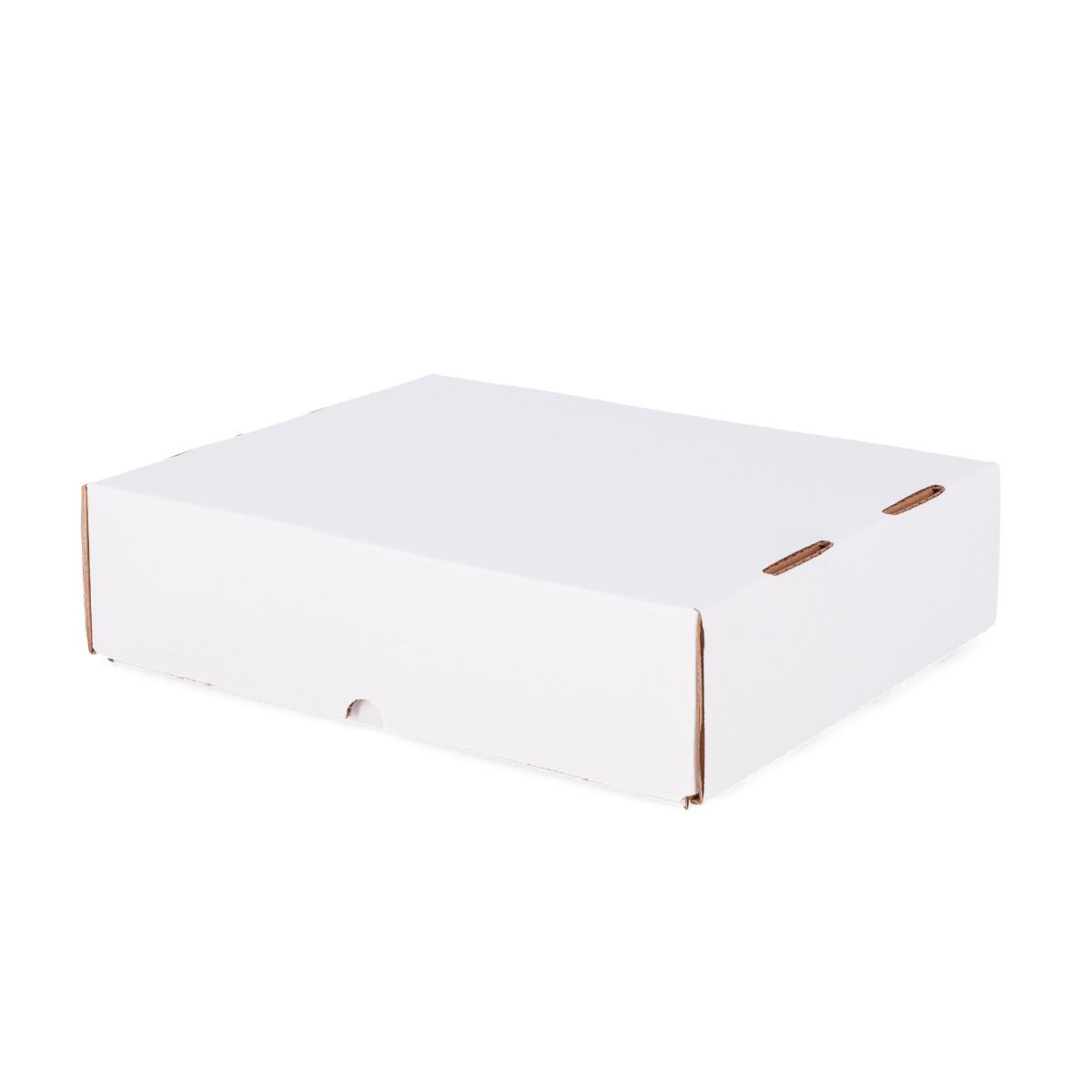 BCW - 3200 Count Storage Box (Full Lid)