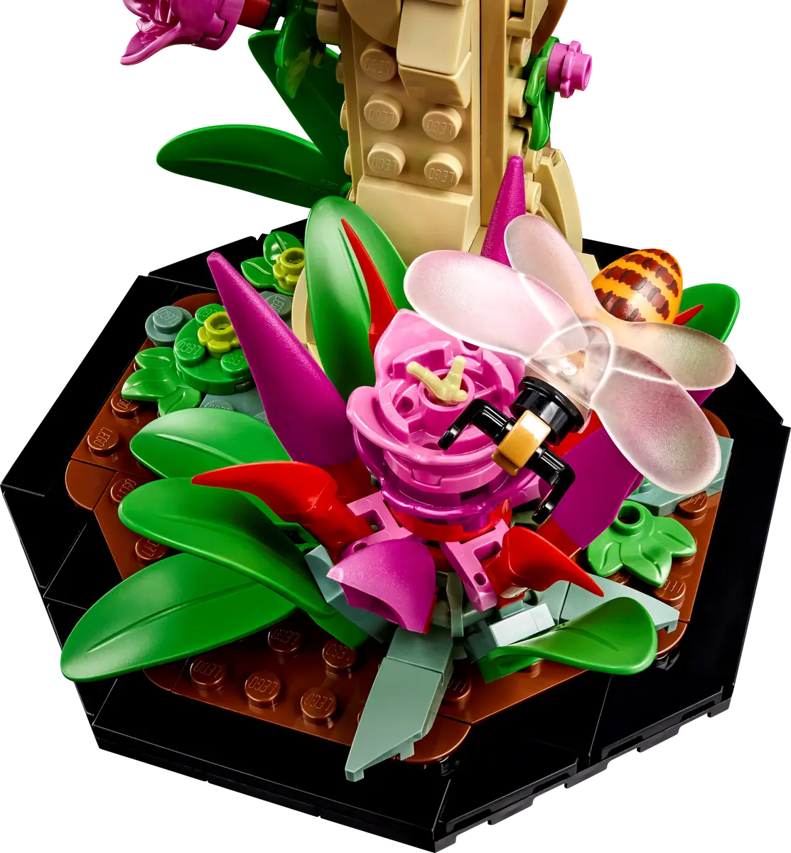 LEGO - IDEAS - The Insect Collection - 21342