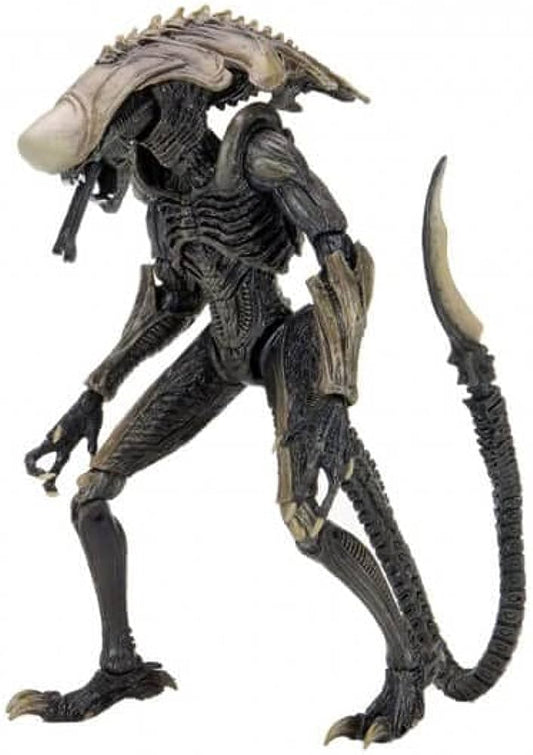 NECA - ALIENS - Chrysalis Alien - Action Figure 9in