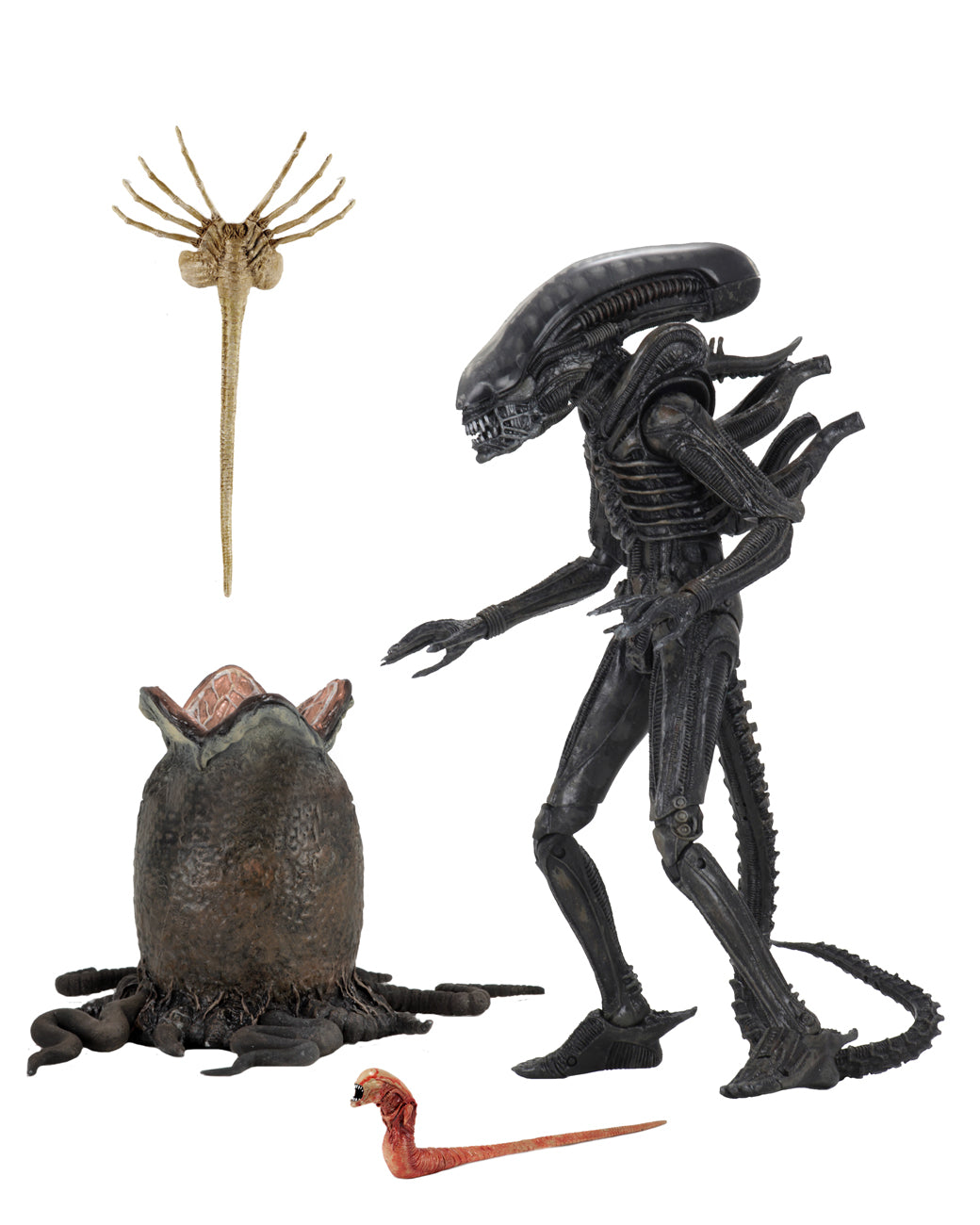 NECA - Alien - 7″ Scale Action Figure – Ultimate 40th Anniversary Big Chap