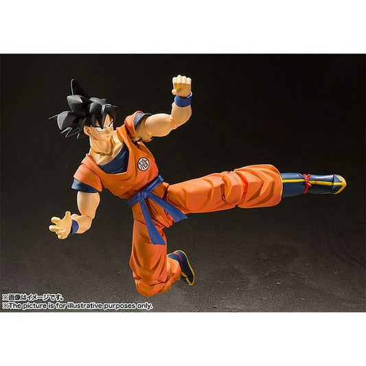 S.H. Figuarts - Son Goku (A Saiyan Raised on Earth) - Dragon Ball Z