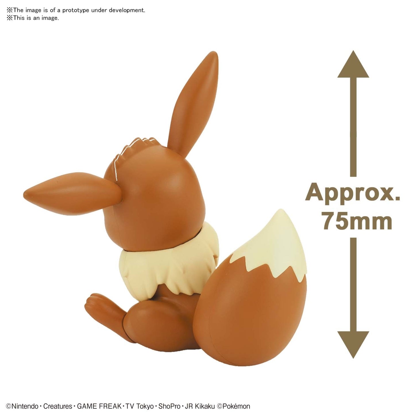 Pokémon - Eevee - Model Kit (Bandai)