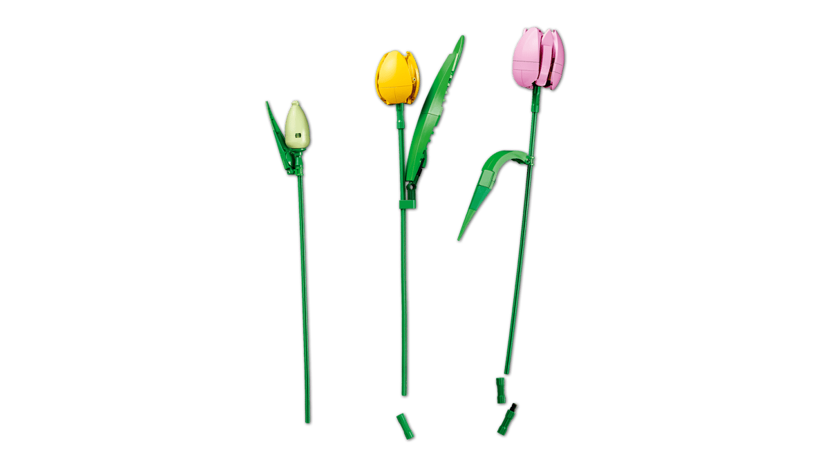 LEGO Botanicals - Tulip Bouquet - 11501