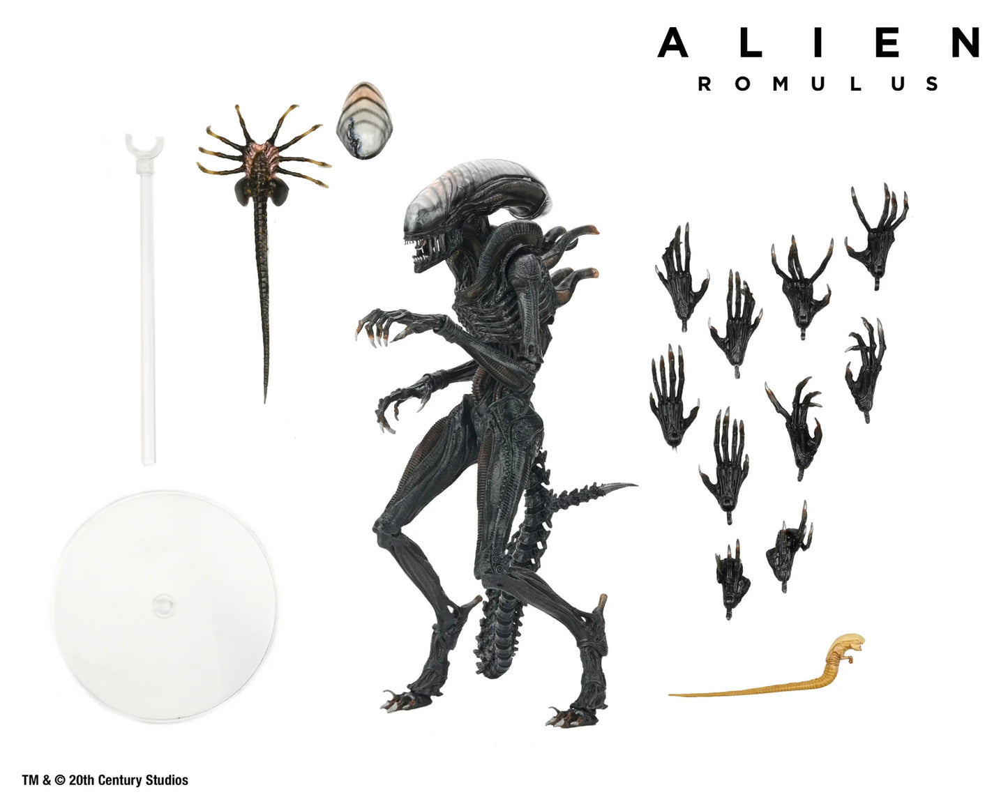 Alien: Romulus Ultimate Scorched Xenomorph 7-inch Scale Action Figure