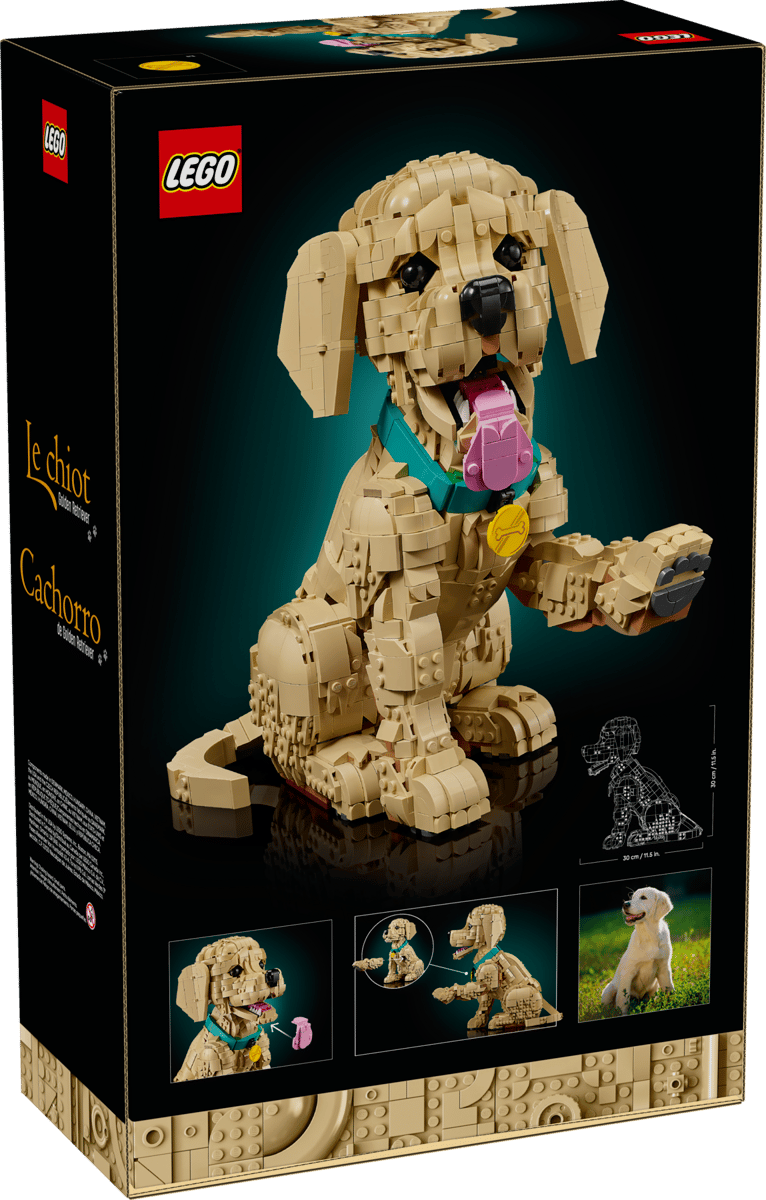 LEGO Icons - Golden Retriever Puppy - 11384