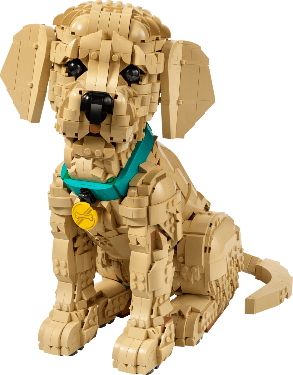 LEGO Icons - Golden Retriever Puppy - 11384