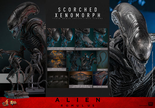 Hot Toys - Alien Romulus - Scorched Xenomorph - MMS784